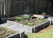 Kwikfynd Organic Gardening
jancourteast